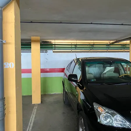 Narancsvirag * Tejina de Isora